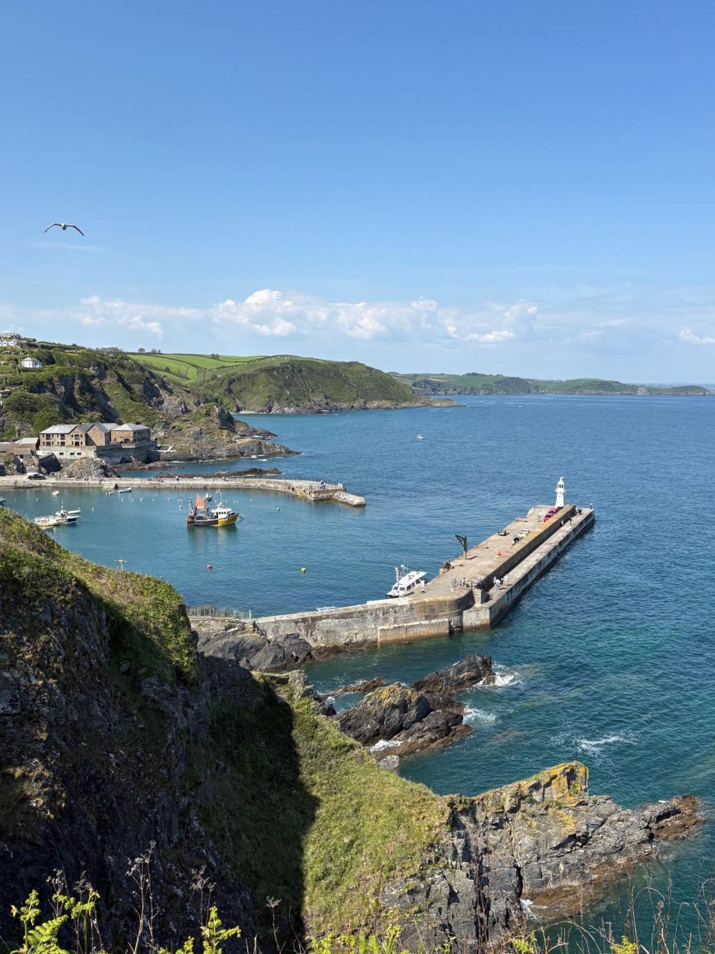 What A View Mevagissey Eksteriør bilde